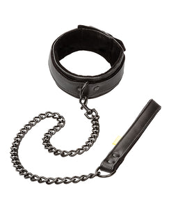 Boundless Collar & Leash - Black