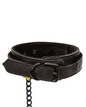 Load image into Gallery viewer, Boundless Collar &amp; Leash - Black