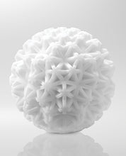 Load image into Gallery viewer, Tenga GEO Coral - White